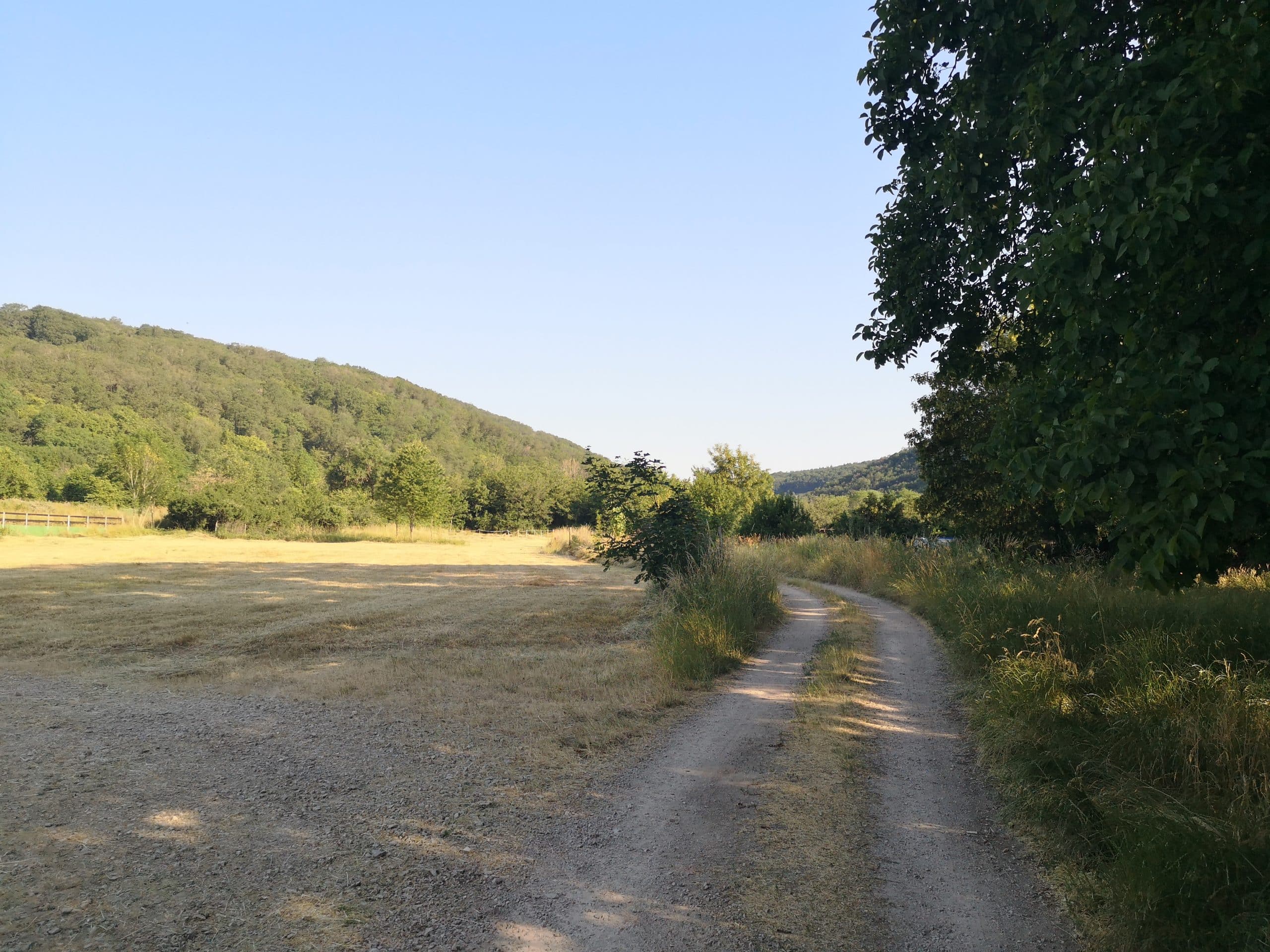 Weg entlang des Guldenbaches