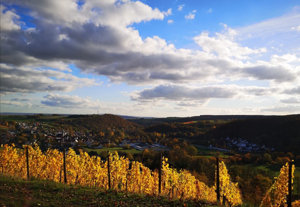 Unternehmen in Schweppenhausen