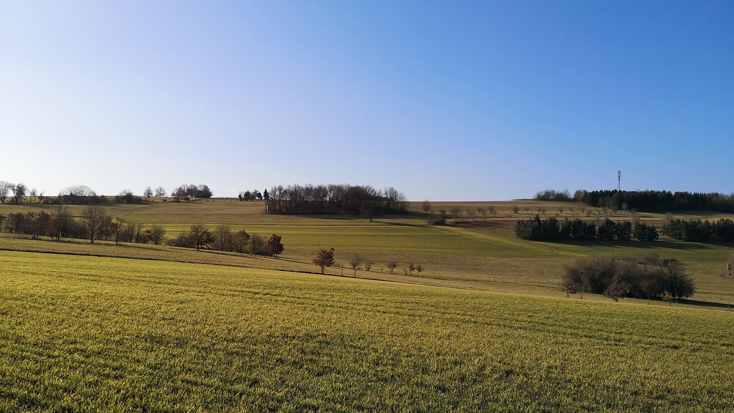 Schweppenhausen - unser Weindorf im Soonwald